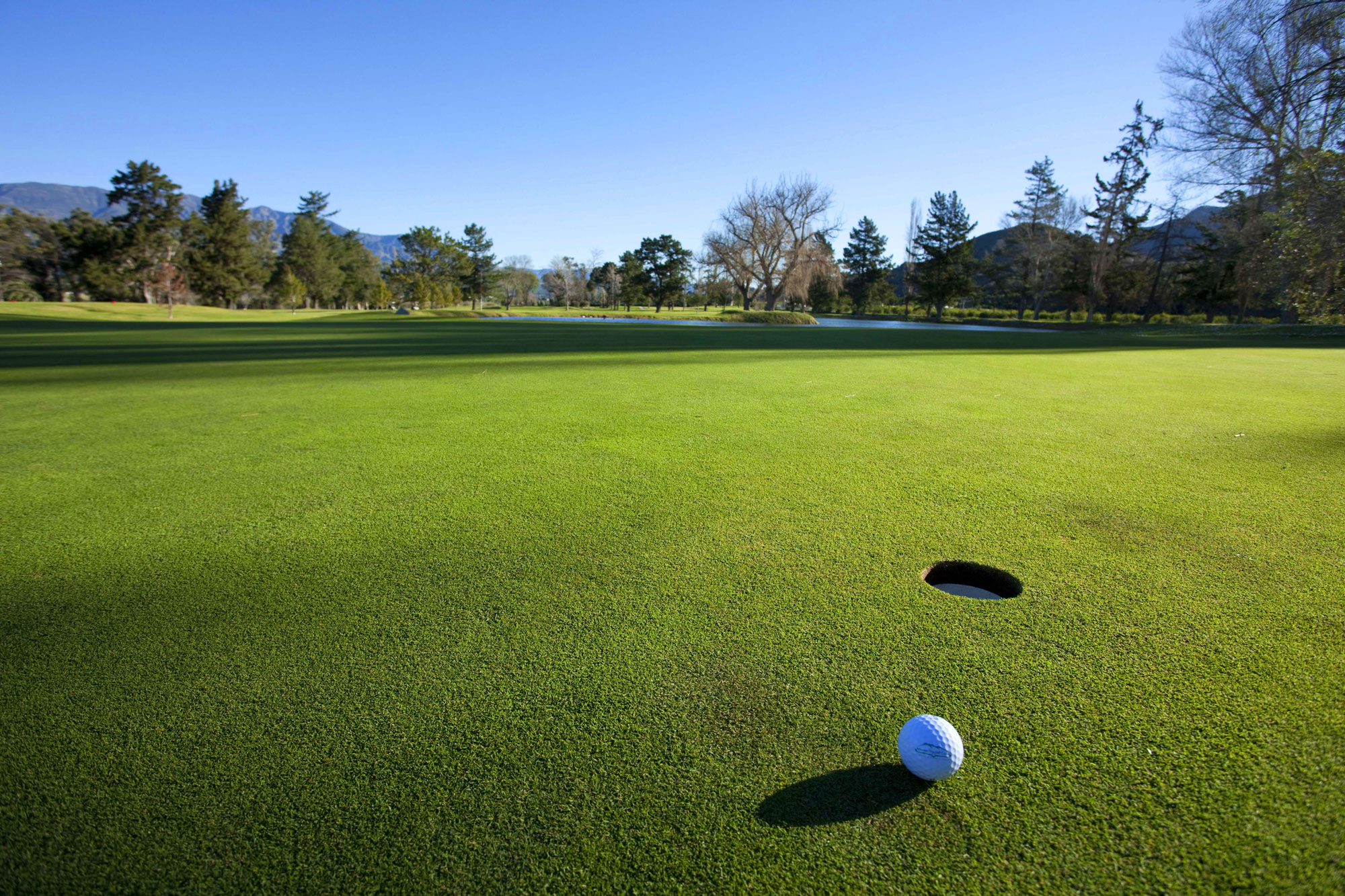 FORE! FOUR Promo Ideas FOR Golf Season