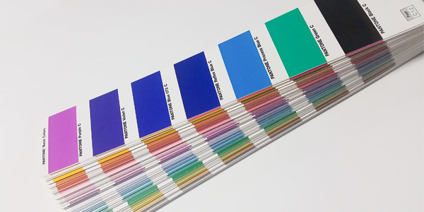pantone book closeup of reflex blue versus process blue